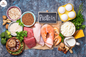 Bổ sung Protein cũng là thức ăn cho mèo sau khi sinh