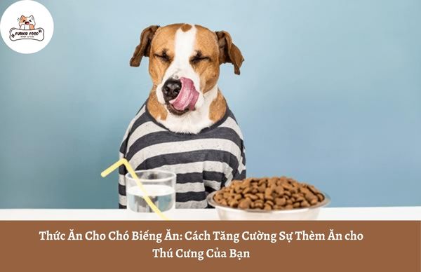 Thức Ăn Cho Chó Biếng Ăn: Cách Tăng Cường Sự Thèm Ăn cho Thú Cưng Của Bạn