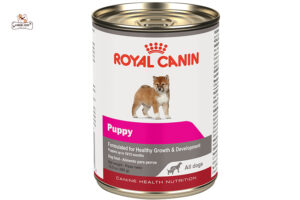 Đồ ăn khô dành cho chó mèo dầy đủ dinh dương - Royal Canin